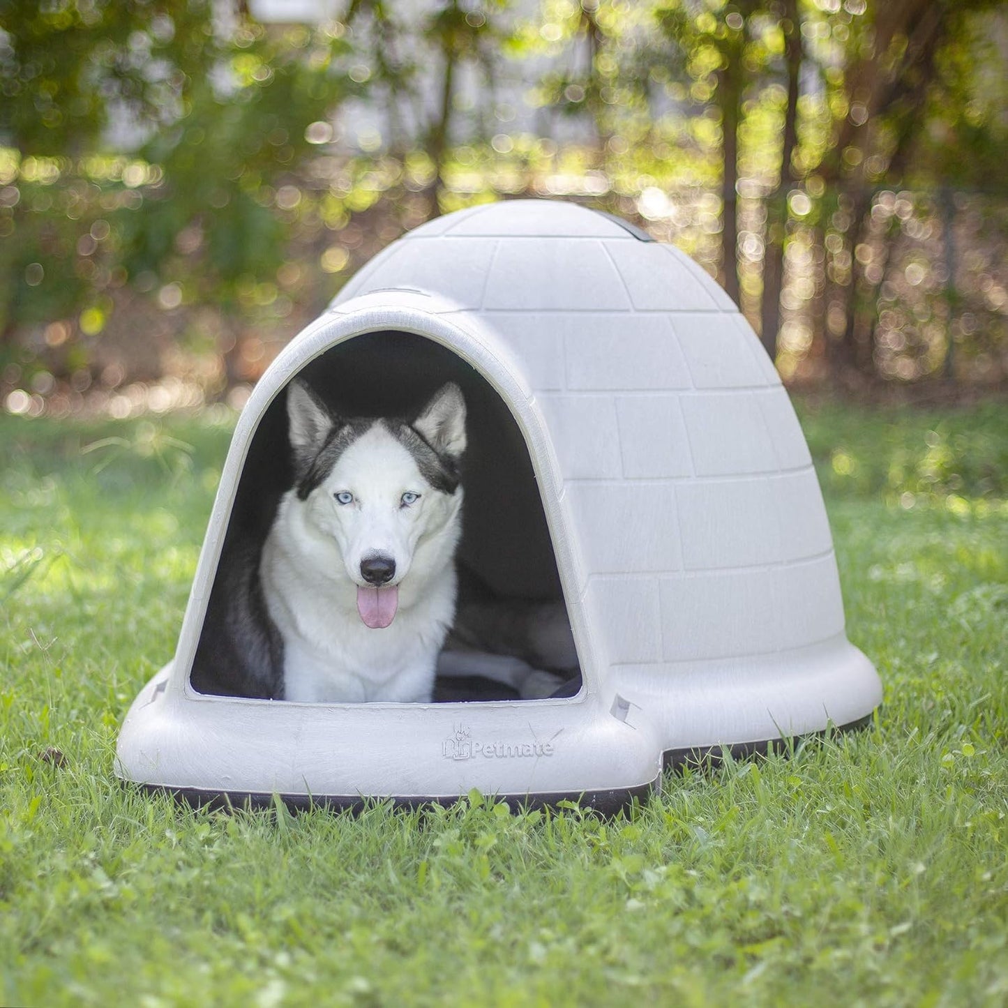 Petmate Indigo Dog House (Igloo Dog House, Made in USA with 90% Recycled Materials, All-Weather Protection Pet Shelter) for XL Dogs -90 to 125 pounds, Made in USA